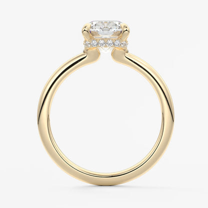Aurora elongated cushion hidden halo engagement ring